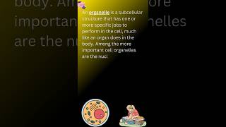 Organelles and their functions organelles functions biology definition youtubeshorts science [upl. by Rodenhouse632]