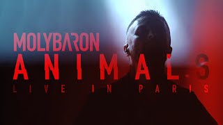 MOLYBARON  Animals Live At La Boule Noire [upl. by Orimar]