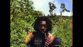 Peter Tosh  Burial [upl. by Nattirb929]