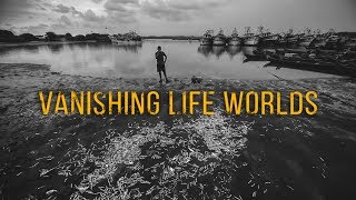 Vanishing Life Worlds  KR Sunil I KochiMuziris Biennale 2016 [upl. by Christin963]