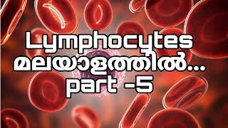 Lymphocytes Malayalampart5 [upl. by Kronfeld381]