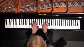 Valentina Lisitsa BEETHOVEN quotAppassionataquot Piano sonata No 23 Fminor op 57 on Bösendorfer [upl. by Falconer]