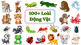 Tổng Hợp 100 Loài Động Vật Con Gì Đây Dạy bé học Châu chấu cá heo sư tử đại bàng [upl. by Darian]