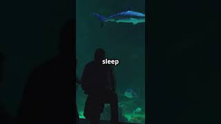 Dubai’s Underwater Hotel  A Dream Come True shorts youtubeshorts trending ytshorts [upl. by Cordier]