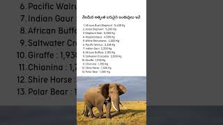 Heaviest Animals on the Land shorts ytshorts shivansir shivanconcepts reels [upl. by Carolina]