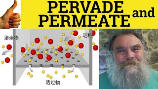 🔵 Pervade and Permeate  Pervade Meaning  Permeate Examples  Pervasive Definition [upl. by Kincaid956]