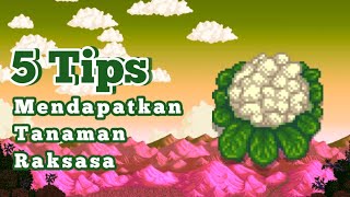 5 Tips Mendapatkan Tanaman Raksasa Di STARDEW VALLEY [upl. by Costanza]