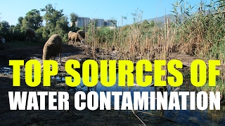 Sources of Water Contamination [upl. by Aremus688]