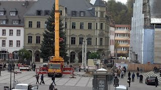 Zwickauer Weihnachtsbaum auf Hauptmarkt eingetroffen [upl. by Anaeli]