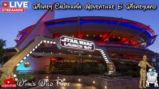 Winksday Wednesday Disneyland Live Stream Rides Fireworks amp Fantasmic [upl. by Nepean411]