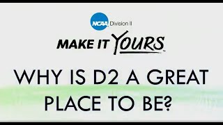 What Makes D2 a Great Place to Play Baseball [upl. by Evered]