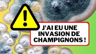 🪱 AUTOSUFFISANCE  En 30 jours transforme tes déchêts en compost même en appartement semanciper [upl. by Krista]