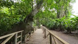 Walking Tour Tayrona Most Visited Colombian National Park 4K 🇨🇴  OFIBO English [upl. by Imis]