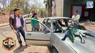 विषारी monitor lizard से कैसे बचेगी CID  CID Latest Episode  Best Of CID [upl. by Durrace]