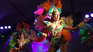 GRES Trepa Coqueiro  Unidos da Tijuca 2003 Festival de Samba de Estarreja 2017 [upl. by Lamhaj191]