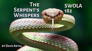 The Serpents Whispers 🐍 by Dave Antal 🐍 SWOLA 182 🐍 swola182 [upl. by Tella]