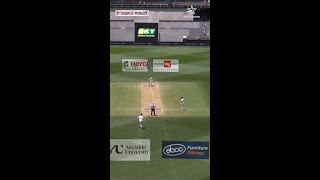 A close call for SteveSmith  AusvIndOnStar [upl. by Tabina517]