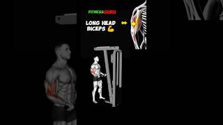 Biceps Long Head Workout Sculpt and Strengthen Your Arms [upl. by Nyrahs]