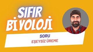 SORU ÇÖZÜMÜ Eşeysiz Üreme Sıfır Biyoloji  Dr Biyoloji [upl. by Marion]