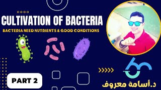 شرح ميكروبيولوجي 10  Cultivation Part2 Types of nutrient media  د أسامة معروف [upl. by Hillel]