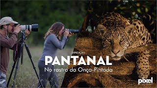 Expedição fotográfica Pantanal [upl. by Bender]