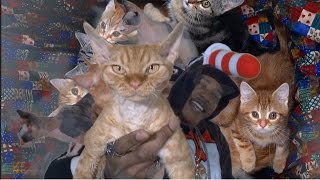 iAmMoshow  Cat King Official Video [upl. by Arinayed521]