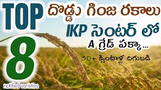 Top paddy seeds in telugu  అధిక దిగుబడులను ఇచ్చే దొడ్డు గింజ వరి రకాలు [upl. by Mas]