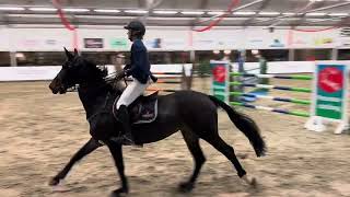 Katharina Karla by Namelus r x corland  1m35 NIC Salland 6th place [upl. by Ileana]