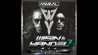 Wisin y Yandel Mix 1  Animal Dj wwwanimaldjco [upl. by Tad]