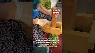 Milasta Zeytin Hasadı Hazırlıkları Başladı Üreticiler Yoğun Mesaiye Hazırlanıyor [upl. by Nie871]