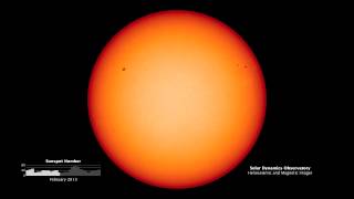 Sunspot TimeLapse  February 2013  Video [upl. by Gaillard]