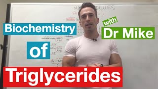 Fatty Acids Glycerol and Lipids  Biochemistry [upl. by Leelah127]