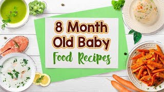 8 Month Baby Food Recipes [upl. by Oiciruam]