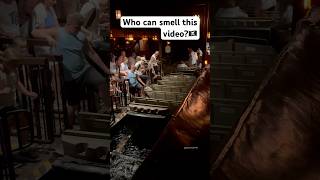 Who can smell this video🏴‍☠️ disney piratesofthecaribbean magickingdom [upl. by Cristine]