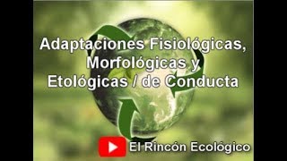 Tipos de Adaptaciones  Fisiológicas Morfológicas y de Conducta [upl. by Alinna601]