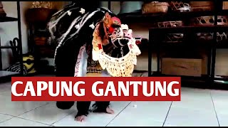 WOWWW BARONG BANGKUNG CAPUNG GANTUNG [upl. by Terri574]