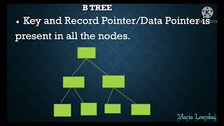 Lecture 104  Difference between B and B tree in DBMS in Tamil [upl. by Leahcir]