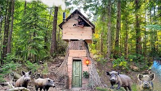 Building a wooden fortress Survival among the wild boars [upl. by Esikram]