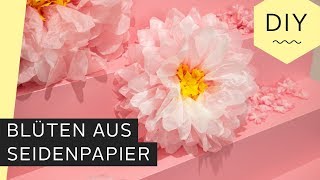 DIY Blüten aus Seidenpapier basteln  Roombeez – powered by OTTO [upl. by Ainniz]