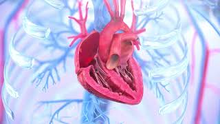 Tricuspid regurgitation symptoms causes and treatment  Animation [upl. by Willms]