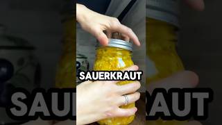 This is what sauerkraut does to your body health facts healthprotips nutritionfacts westerndie [upl. by Nnov262]