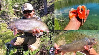 CATCH amp COOK Backpacking to a Lake for GIANT Brook Trout [upl. by Yralam532]