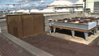 Understanding Wastewater Treatment [upl. by Kcirtapnaes557]