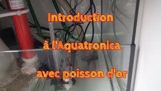 Introduction à lAquatronica avec poisson dor [upl. by Aiksas]