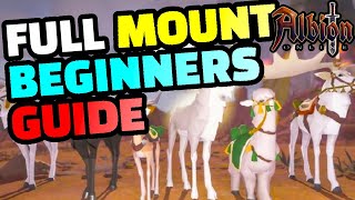 The BEST Albion Online Mount Guide For Beginners [upl. by Penrose575]