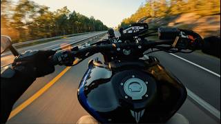 Yamaha MT 09 SP 2020 Performance  Top Speed  0100  Wheelies 4K [upl. by Ennayhs752]