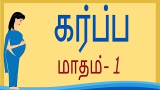 Pregnancy  Tamil  Month 1  கர்ப்பம் மாதம் 1 [upl. by Thomson]