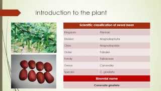 Purification of Urease from Sword Bean for Clinical Use [upl. by Faxon]