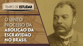 O lento processo da abolição da escravidão no Brasil l Tempo de Estudar  História  8º ano [upl. by Eyks465]