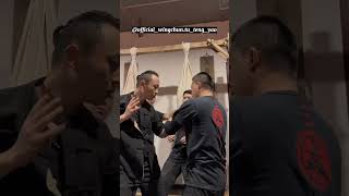 Daily Training for Wing Chun Exploring Elbow Techniques and Skills  Master Tu Tengyao [upl. by Nido]